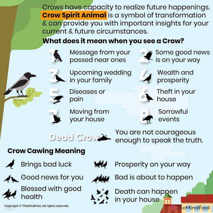 Crow Cawing: Co to znamená duchovně?