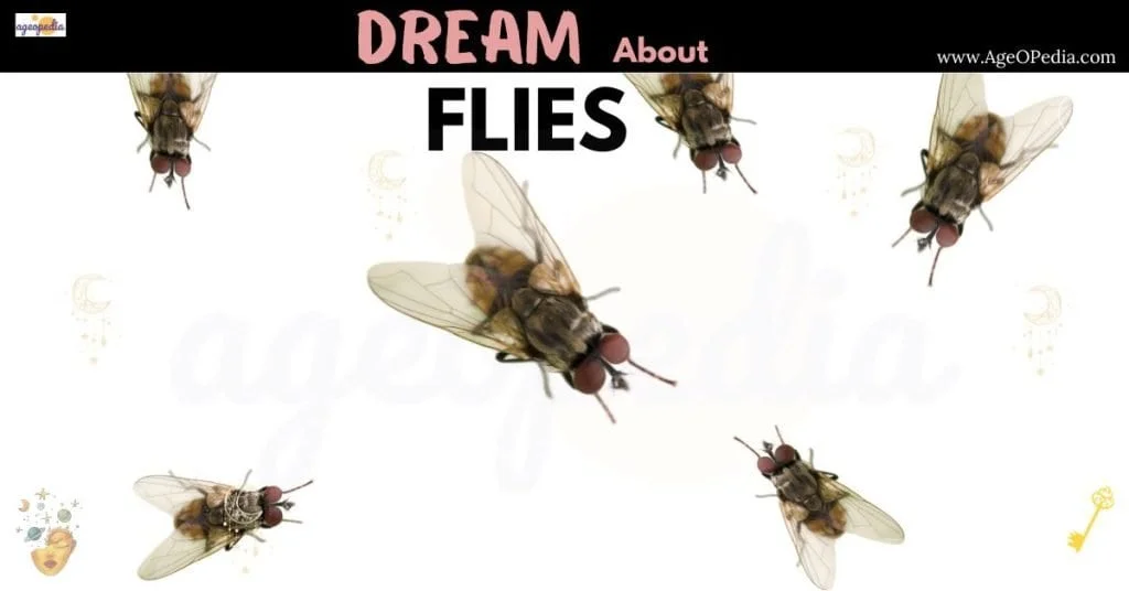 Swarm Of Flies Untidy Floor Dream Meaning